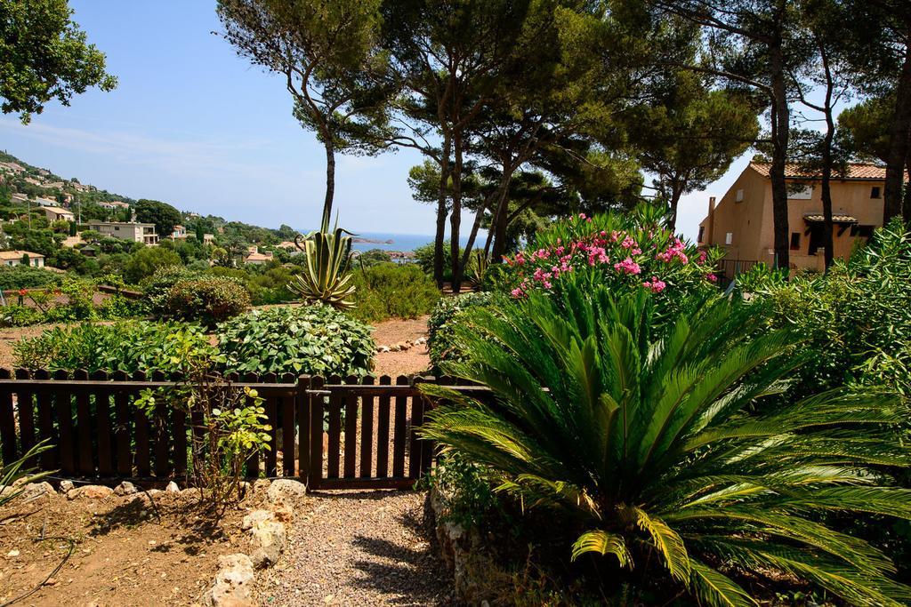 Bastidon Vue Mer Antheor-Cap-Roux Camera foto