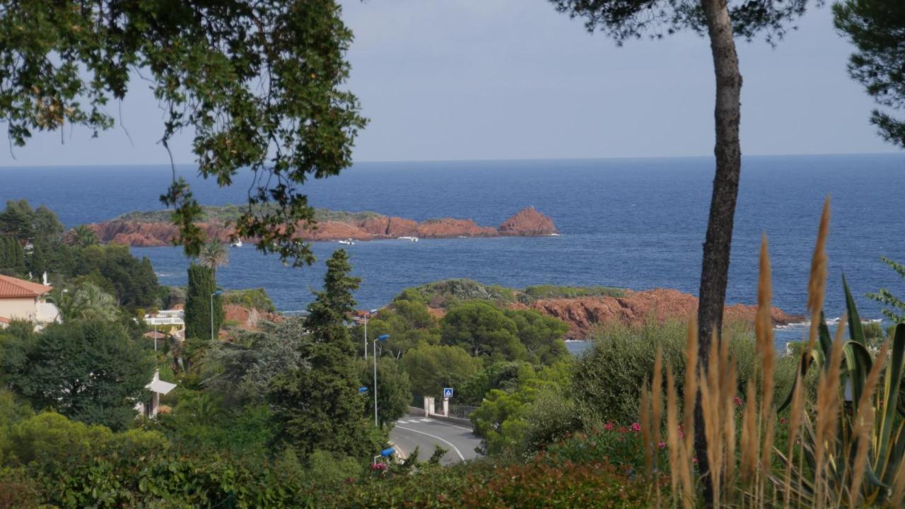 Bastidon Vue Mer Antheor-Cap-Roux Esterno foto